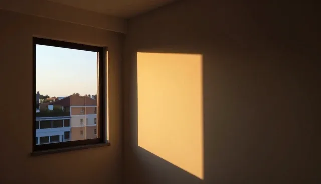 兰州网站设计选型与维护的实用建议