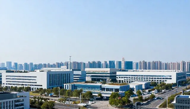 日照短信群发:技术外包与系统集成的取舍分析
