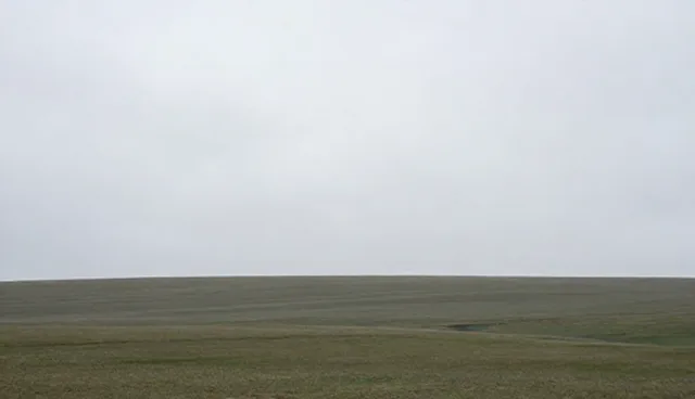 天山网站测试流程:关键环节与优化建议